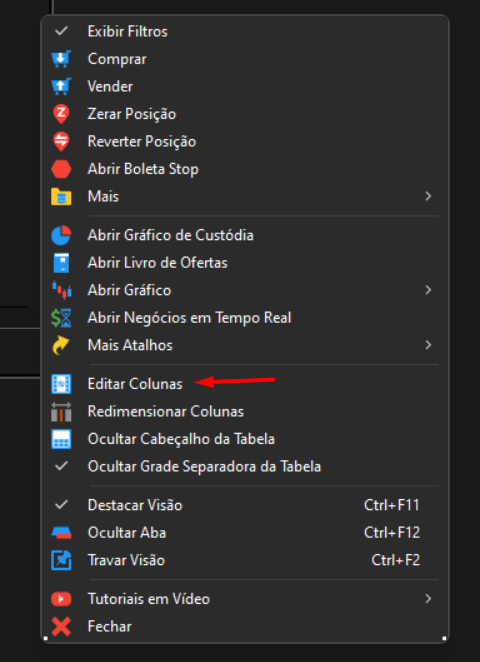 editar_colunas_nas_opcoes_da_ferramenta_custodia.png